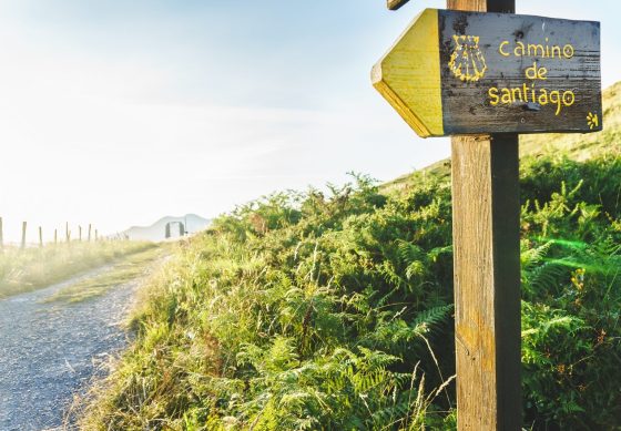 poster-or-sign-of-the-camino-de-santiago-at-sunset-2022-11-02-16-39-06-utc